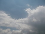 IMGP0316