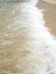 IMGP0329