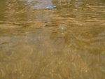 IMGP0343