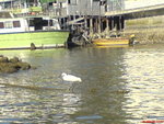 DSC00055
