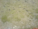 DSC00056_