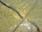 DSC00060_
