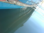 DSC00118