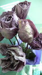 P1040134