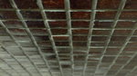 P1040309