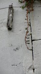 P1040994