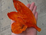 P1050565