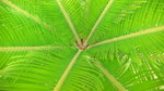 P1050589