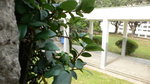 P1050609