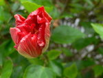 P1050630