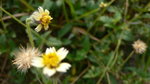 P1050685