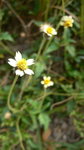 P1050687