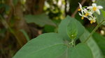 P1050702