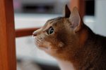 DSC_0546e_r