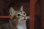 DSC_0552e_r