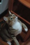 DSC_0554e_r