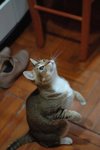 DSC_0558e_r