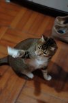 DSC_0559e_r