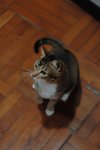 DSC_0562e_r