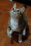 DSC_0563e_r