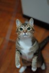 DSC_0565e_r