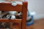 DSC_0588e_r