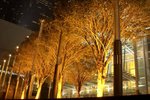 IFC