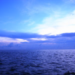 R0028991