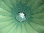 IMG_1051