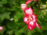 IMG_3680