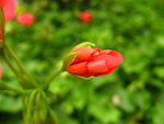 IMG_3721