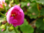 IMG_3755