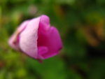 IMG_3756