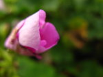 IMG_3757