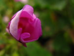 IMG_3758