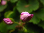 IMG_3765