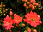 IMG_3839