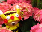 IMG_3841