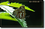 重新調整尺寸精靈-581
