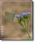 重新調整尺寸精靈-621