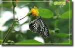 重新調整尺寸精靈-583