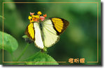 重新調整尺寸精靈-540