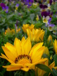 DSCN3641