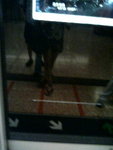 mtr