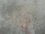 DSC00640