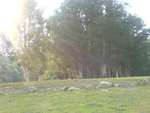 DSC00592