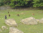 DSC00603