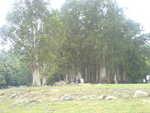 DSC00604