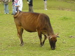 DSC00608