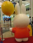 DSC00762